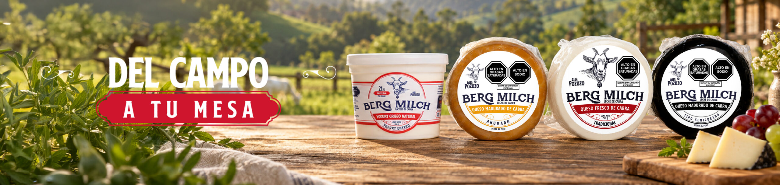 Banner-bergmilch.jpg